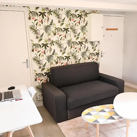 Apartment Studio En Duplex En Centre *