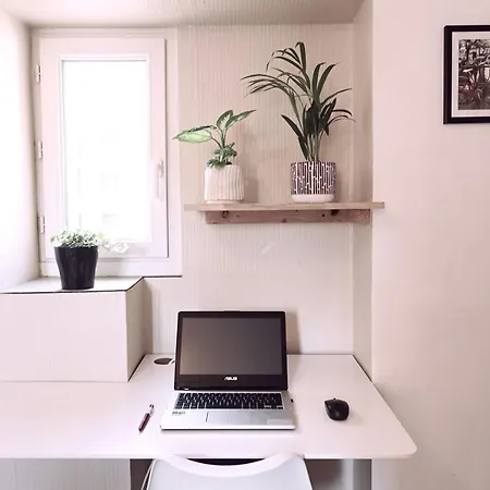 Apartment Studio En Duplex En Centre